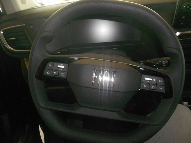 FIAT Ulysse usata, con Boardcomputer