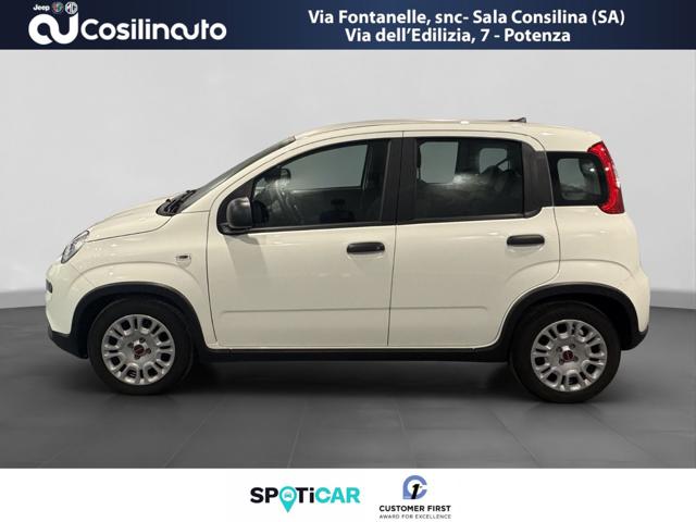 FIAT Panda usata, con Airbag