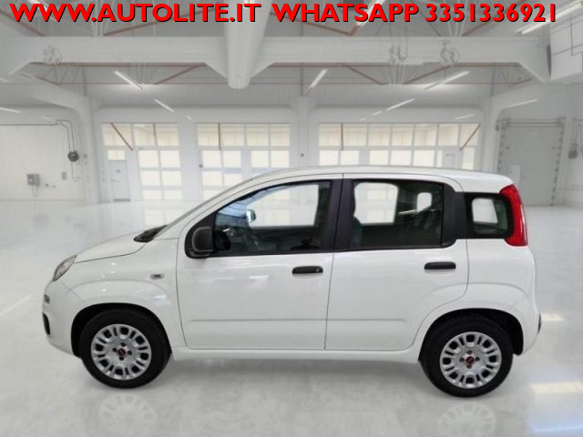 FIAT Panda usata, con Alzacristalli elettrici
