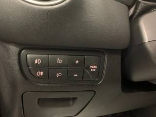 FIAT Punto usata, con Volante in pelle