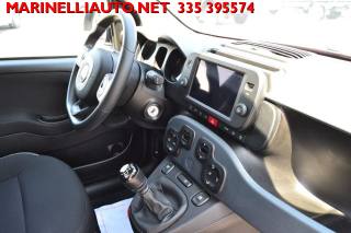 FIAT Panda Cross usata, con Airbag testa