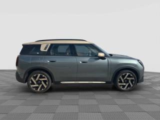 MINI Countryman usata 5