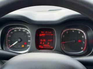FIAT Panda usata 14