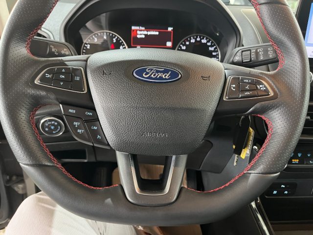FORD EcoSport usata, con Cruise Control