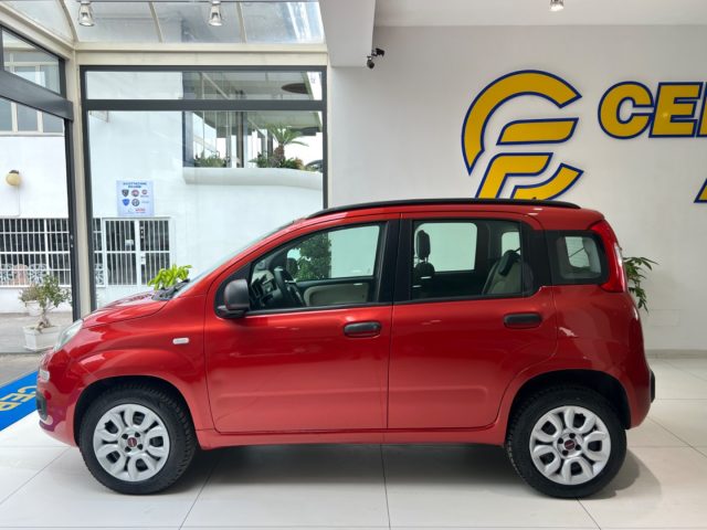 FIAT Panda usata, con Airbag laterali