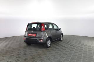 FIAT Panda usata 3