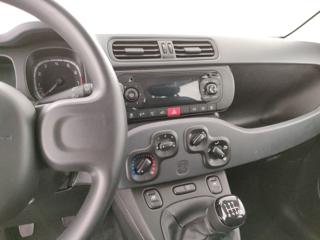 FIAT Panda usata, con Controllo trazione
