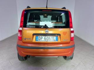 FIAT Panda usata 13