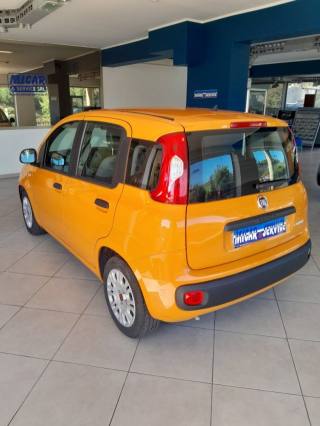 FIAT Panda usata, con Chiusura centralizzata