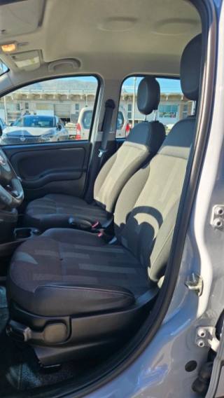 FIAT Panda usata, con Airbag testa