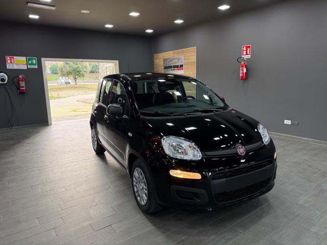 FIAT Pandina usata, con Schermo multifunzione interamente digitale