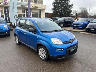 FIAT Panda usata, con Airbag Passeggero