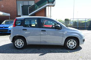 FIAT Panda usata, con Alzacristalli elettrici