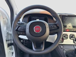 FIAT Panda usata 8