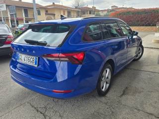 SKODA Octavia usata 115
