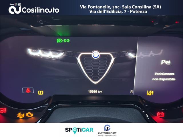ALFA ROMEO Tonale usata, con Sistema di navigazione
