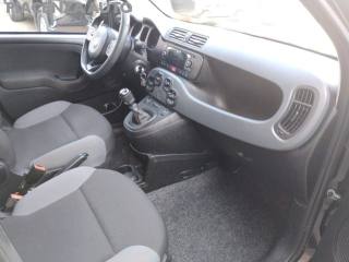 FIAT Panda usata, con Controllo trazione