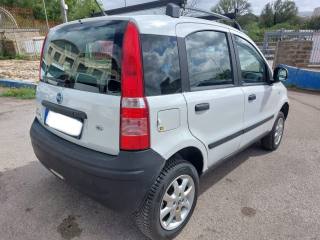 FIAT Panda usata 4