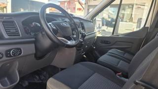 FORD Transit usata, con Fendinebbia