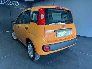 FIAT Panda usata, con Airbag Passeggero