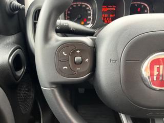 FIAT Panda usata, con Controllo vocale