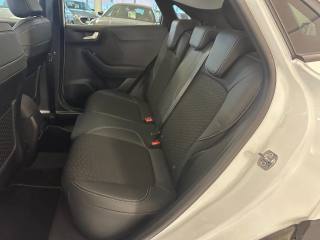 FORD Puma usata, con Fendinebbia