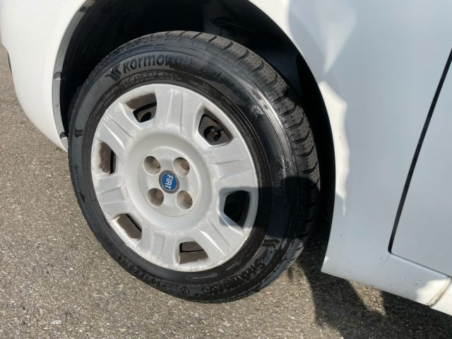 FIAT Punto usata 13