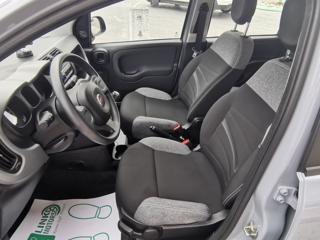FIAT Panda usata, con Immobilizzatore elettronico