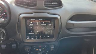 JEEP Renegade usata, con Touch screen