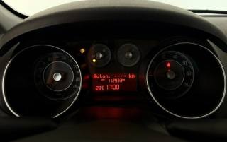 FIAT Punto usata 14