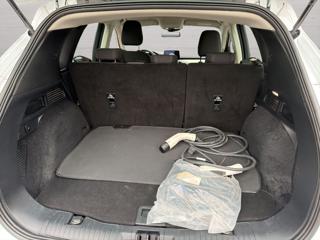 FORD Kuga usata, con Cruise Control