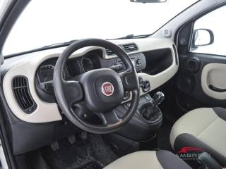 FIAT Panda usata 7
