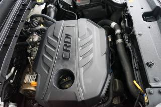 KIA Sportage usata 60