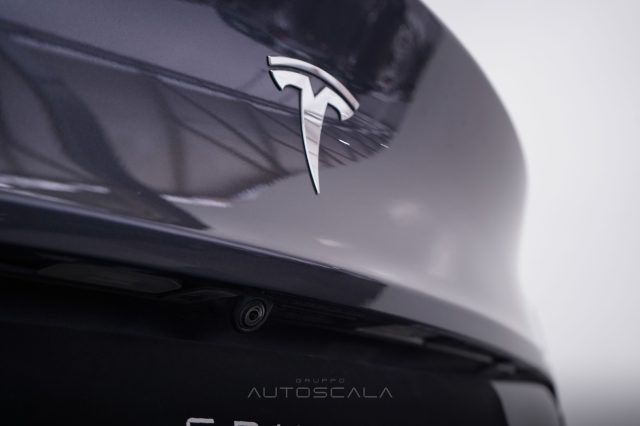TESLA Model Y usata, con 360° camera