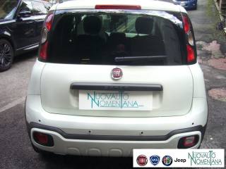 FIAT Panda Cross usata, con Fendinebbia