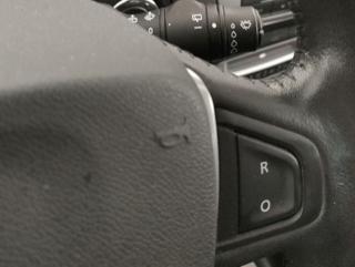 RENAULT Scenic usata, con Volante in pelle