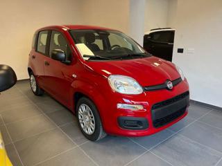 FIAT Panda usata, con Airbag