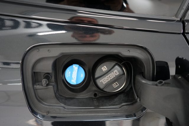 BMW 318 usata, con Bracciolo