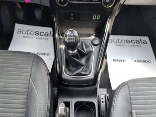 FORD EcoSport usata, con Controllo vocale