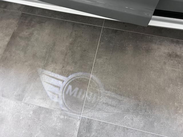 MINI Countryman usata, con Controllo trazione