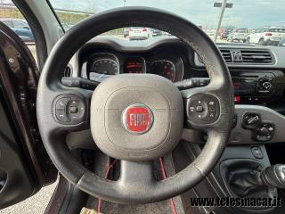 FIAT Panda usata 13
