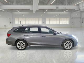 SKODA Octavia usata, con Autoradio