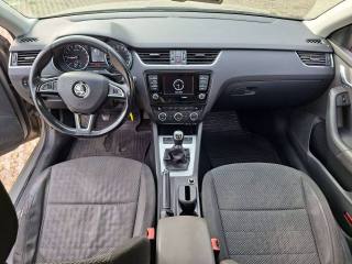 SKODA Octavia usata, con Controllo trazione