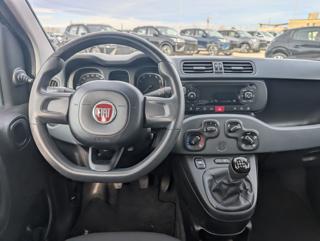 FIAT Panda usata, con Controllo trazione