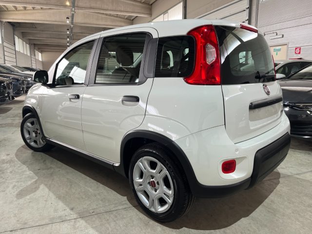 FIAT Panda usata, con Airbag Passeggero