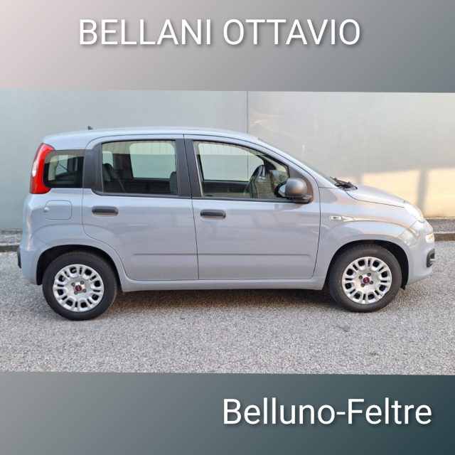 FIAT Panda usata, con Antifurto