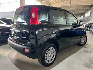 FIAT Panda usata, con Autoradio
