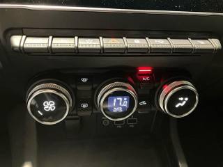 RENAULT Arkana usata 22