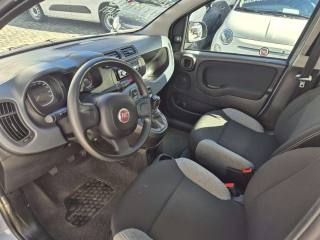 FIAT Panda usata, con Climatizzatore