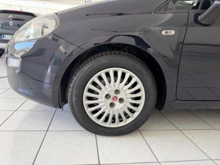 FIAT Punto usata 16